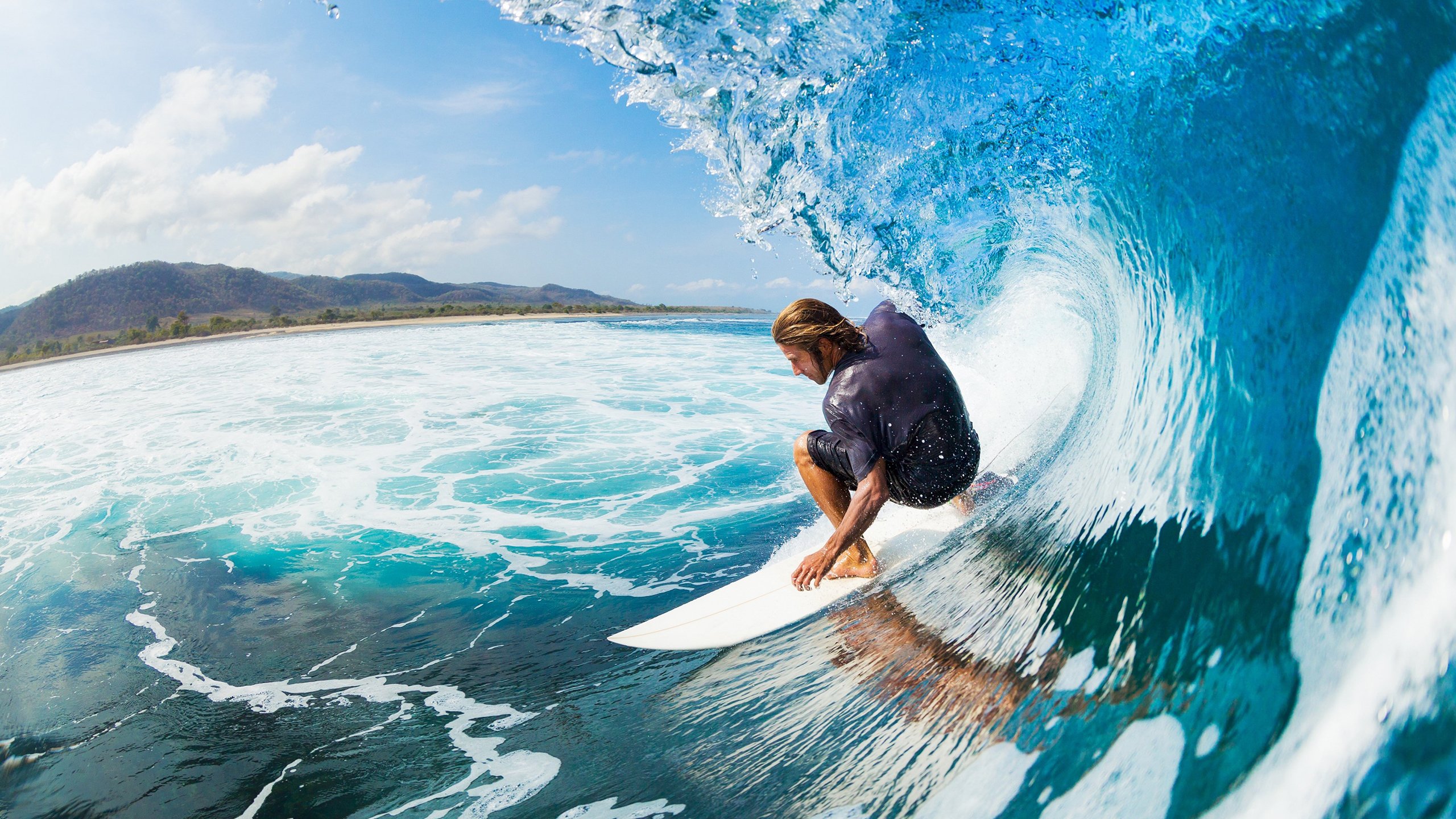 荷兰马术协会与大学合作，开展马术运动营养研究，优化饮食方案。